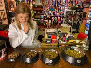 Alimentação canina
