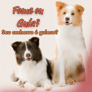 cachorro tem gula