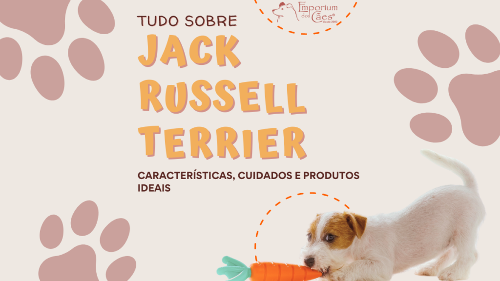 Tudo sobre Jack Russell Terrier: Características, Cuidados e Produtos Ideais